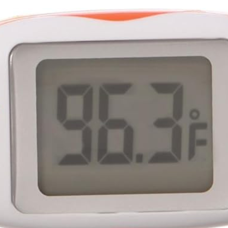 Dreambaby Rapid Response Digital Thermometer
